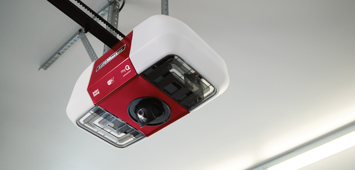 liftmaster garage door motor repair in Valley Glen
